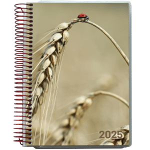 Dagkalender 2025 Korn - 254556 2 4