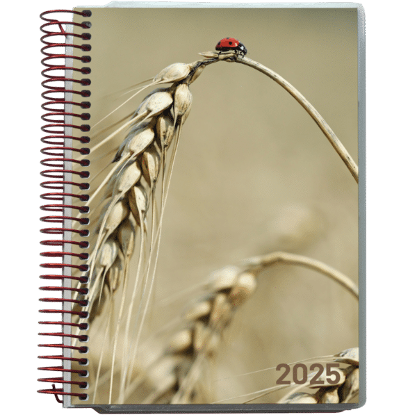 Dagkalender 2025 Korn - 254556 2 4